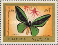 Common Green Birdwing (Ornithoptera priamus ssp. poseidon)