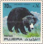 Sloth Bear (Melursus ursinus)
