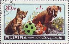 Two Cats and a Dog Playing with a Ball