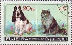 Cat (Felis silvestris catus), Dog (Canis lupus familiaris)