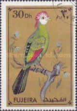Red-Crested Turaco (Tauraco erythrolophus)