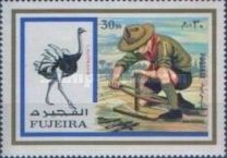 Ostrich (Struthio camelus) and Boy Scout