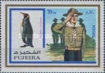 Emperor Penguin (Aptenodytes forsteri) and Boy Scout