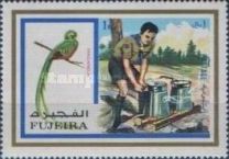 Quetzal (Pharomachrus mocinno) and Boy Scout Cooking