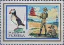 Atlantic Puffin (Fratercula arctica), Boy Scouts Signaling