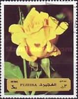 Yellow Rose