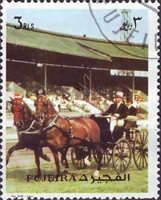 Coach, Horse (Equus ferus caballus)