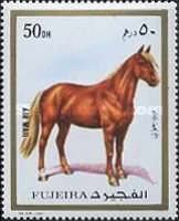 Horse (Equus ferus caballus)