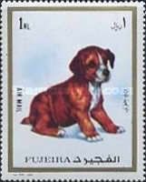 Young Dog (Canis lupus familiaris)