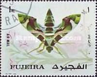 Moth