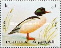 Common Merganser (Mergus merganser)