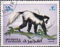 Mantled Guereza (Colobus guereza)