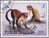 Monkeys