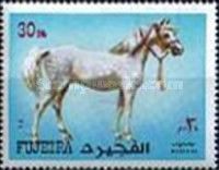 Horse (Equus ferus caballus)