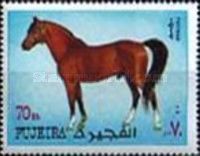 Horse (Equus ferus caballus)