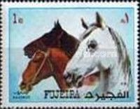 Horses (Equus ferus caballus)