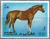 Horse (Equus ferus caballus)
