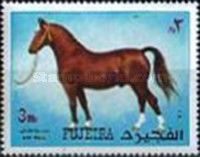 Horse (Equus ferus caballus)