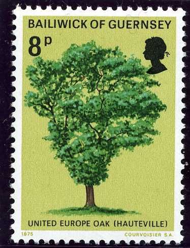 United Europe Oak, Hauteville (planted by Hugo)