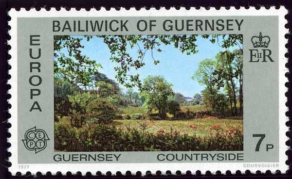Woodland, Talbot Valley