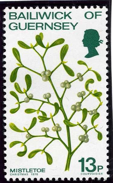 Mistletoe -  Viscum album