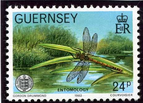 Beautiful Demoiselle (Agrion virgo) (Entomology)
