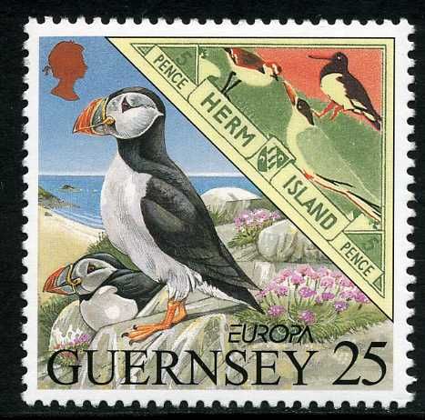 Atlantic Puffin (Fratercula arctica) & a Local Carriage Lbl.