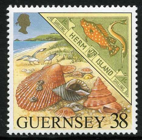 Shells on Shell Beach & a Local Carriage Label