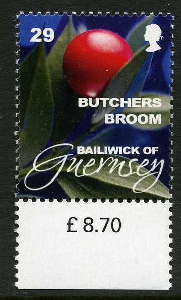 Butcher's Broom