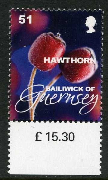 Hawthorn