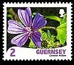 Common Mallow - Malva sylvestris