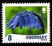 Bluebell - Hyacinthoides non-scripta