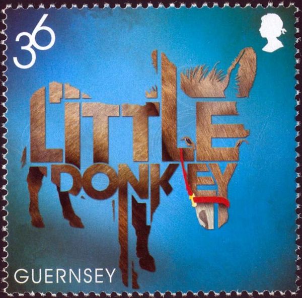 Little Donkey