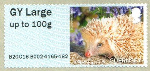 Blonde hedgehog