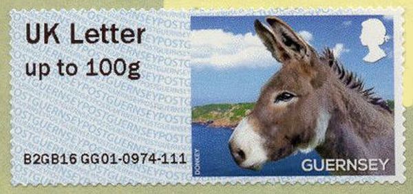 Donkey