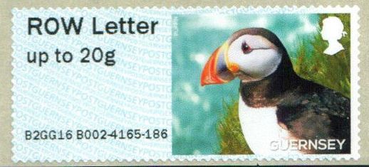 Puffin