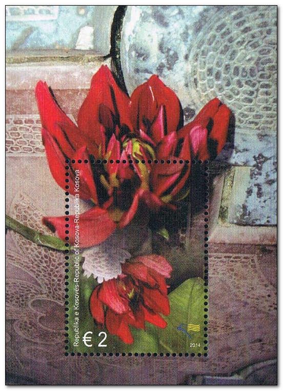 Paeonia sp.