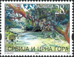 Zasavica