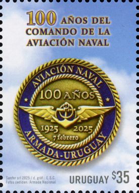 Naval Air Command, Centenary