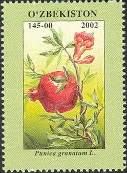 Punica granatum L