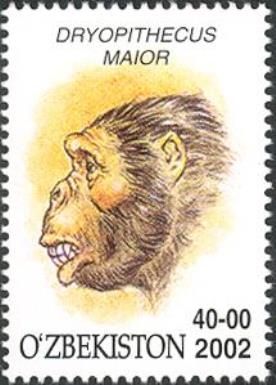 Dryopithecus maior