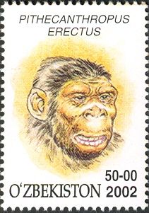 Pithecanthropus erectus