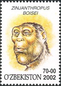 Zinjanthropus boisei
