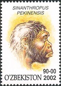 Sinanthropus pekinensis