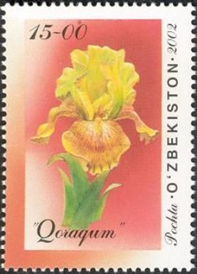 Iris "Qoraqum"
