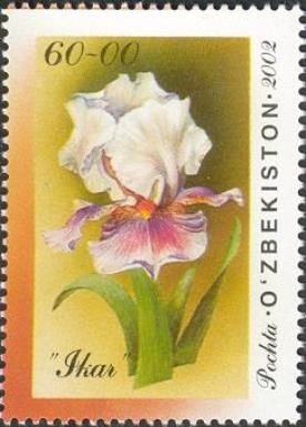 Iris "Ikar"