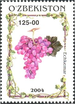 Grapes "Echkemar"