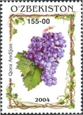 Grapes "Qora Andijon"