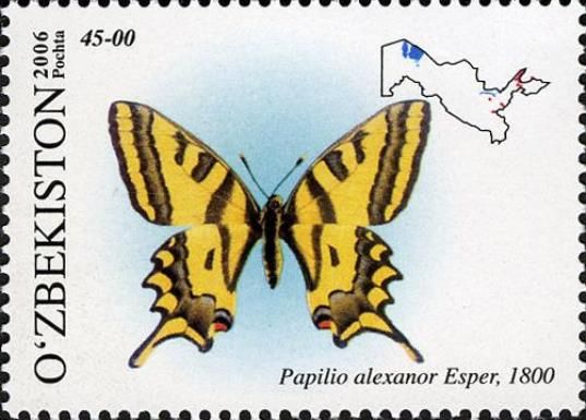 Southern Swallowtail (Papilio alexanor)