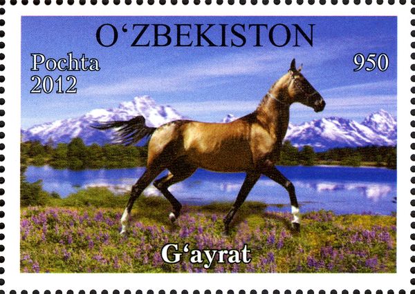 "Gayrat" (Equus ferus caballus)